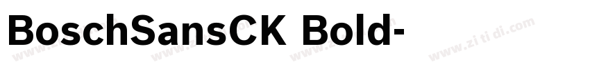 BoschSansCK Bold字体转换